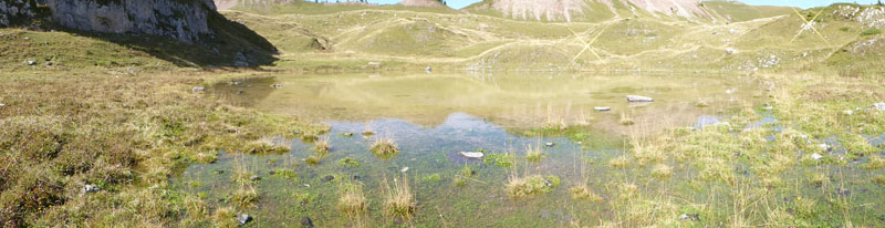 Laghi.......del TRENTINO